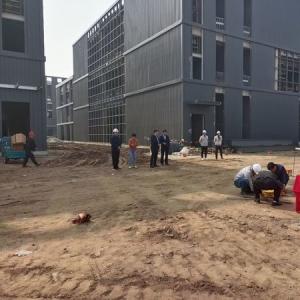 Wholesale Q355B Steel Frame Multi Story Steel Structure Office Building from china suppliers