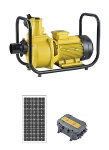 Wholesale Hotel Solar Energy Motor Pump , Swimming Pool Water Pump With Solar System from china suppliers