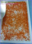 Food Grade Plastic Drying Trays Pharmaceutical Drying For Softgel Capsules and