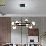 Used For Home/Hotel/Showroom LED Modern Wrought Iron Pendant Light