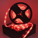 36W IP65 12V 5M LED Waterproof Strip Lights