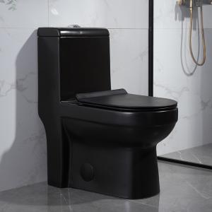 Wholesale Modern Bathrooms Toilets Dual-Flush Elongated 1-Piece Toilet With Soft-Closing Seat from china suppliers