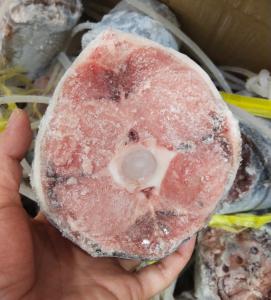 Wholesale Palatable Whole Round 250g up Frozen Yellowfin Tuna tail -60℃ For canned from china suppliers