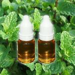 E juice 10ml fruit flavours