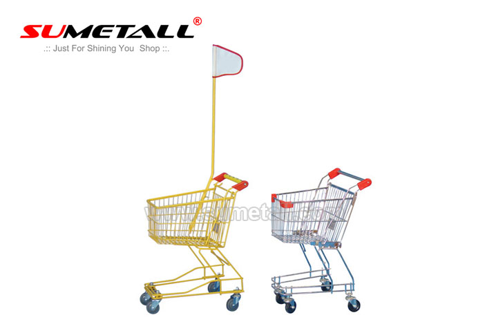 Kids Shopping Cart