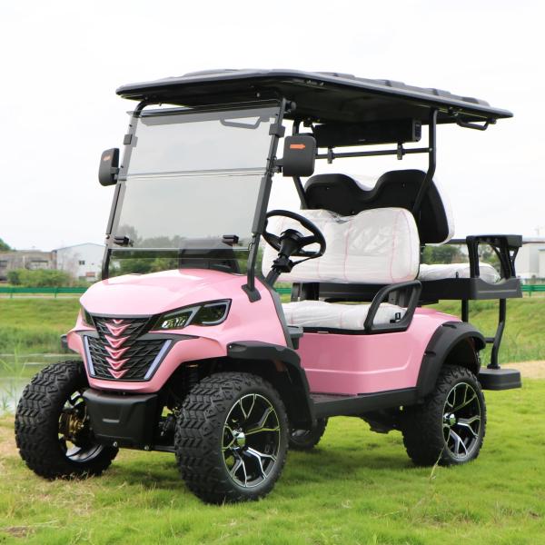Modern 4 Seater Golf Cart for Family Outings and Group Tours Ground clearance