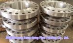 WN Flange , RF