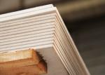 Direct Sales New Arrivals 1200X2400Mm Mould Resistance Sheetrock Drywall