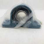 NSK Bearing Units UCP207D1 , UCP208D1