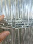 China Supplier Animal Hinge Joint Grassland Field Fence Netting Machine Factory