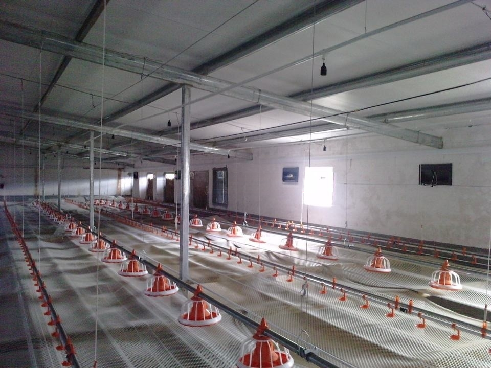Poultry chicken nipple drinking system for broiler farm Automatic watering system China manufacture price