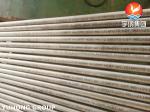 ASTM A213 TP444 Stainless Steel Seamless Tube For Power Generation