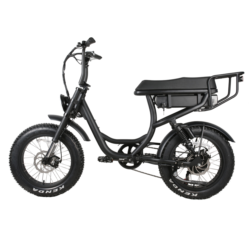 Front Fork Suspension Fork ODM/OEM Electric Fat Tire Bike Retro Big Saddle Bike 48V 750W