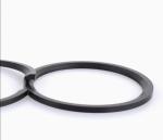 30N/mm FFKM DIN 3869 ED-RING 21 Oil Gas Field Sealing Rubber O Rings Black