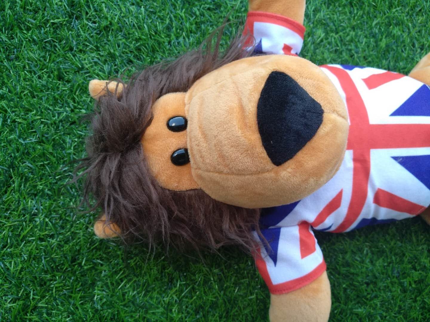 golf head cover , dog head cover , animal head cover , plush head cover , driver head cover