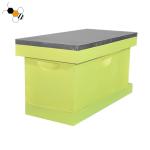 Painted Fir Wooden Yellow Langstroth Nuc Box For queen rearing