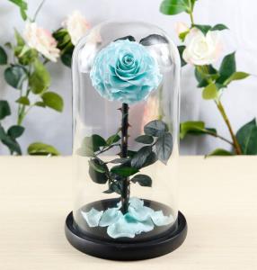 Wholesale 2021 popular Preserved Roses Long lasting Roses in Dome Valentines Day Gift from china suppliers