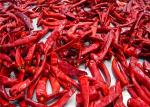 Stemless Chinese Dried Chili Peppers 819 High SHU Dried Hot Chillies