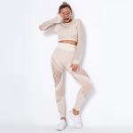 300gsm Women Activewear Sets With Thumb Hole Gym Mesh Yoga Clothing Sets