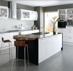 Paint Door Finish Solid Wood Kitchen Cabinets Solid Wood Material Blum / Dtc