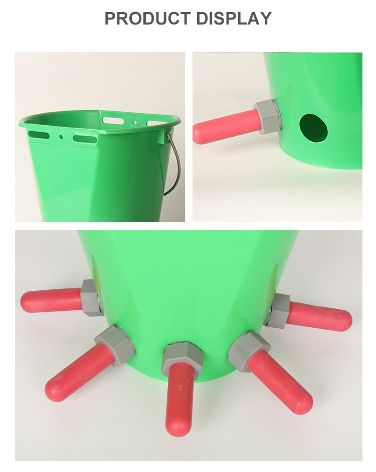 Dairy Farming 8L Plastic Calf Care Pail with 5 Teats for Milk Feeding