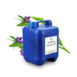 Wholesale Factory Wholesale Borage Oil Gentle Natural Massage Spa Carrier Oil For babies all person from china suppliers