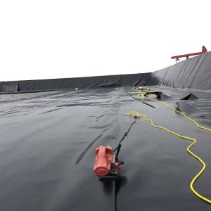 Wholesale Chinese Geomembrane Impermeable Fish Pond Shrimp Pond Cistern Waterproof Membrane from china suppliers