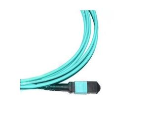 Wholesale 12 Core OM3 Fiber Optic Patch Cord MPO To MPO Trunk Cable Blue Jacket from china suppliers