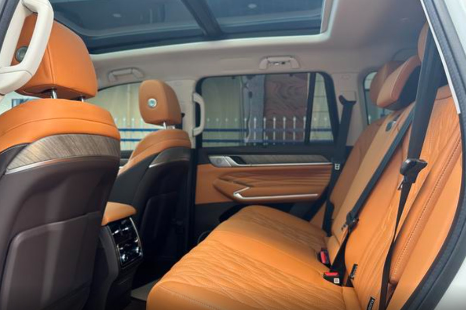 Tank 500 Hi4-T 2023 model 2.0T Hi4-T Great Wall Motors Medium and large SUV 2.0T 252 horsepower L4 plug-in hybrid
