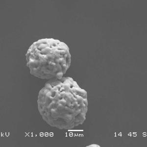Wholesale Wear Protection Thermal Spray Nickel Chromium Powder 20NiCr-Cr3C2 80/20 from china suppliers