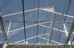 Galvanized Steel Frame Glass Covered Agriculture Greenhouse with Installation