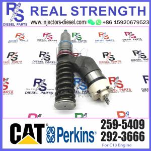 Wholesale C13 Fuel Injector Assembly 249-0705 249-0713 249-0707 244-7716 10R-3258 250-1309 253-0608 259-5409 292-3666 10R-1305 from china suppliers