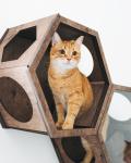 Hexagon Modern Pet Furniture Cat Wall Shelf 50lb Bearing Cat Cave Bed Cat