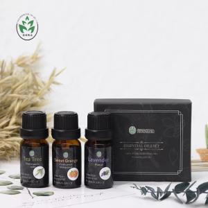 Wholesale Health Care 10ml Cinnamon Aromatherapy Oil For Skin Care from china suppliers