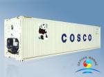 Carbon Steel Standard Shipping Container 20ft / 40ft For Reefer ISO9001