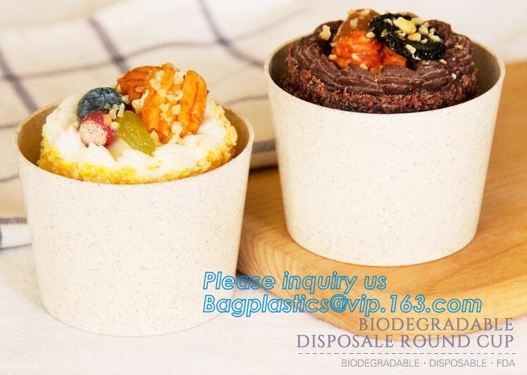 Premium Meal Prep Containers 3 Compartment BPA-FREE Food storage Microwavable Dishwasher Safe plastic Lunch bento box