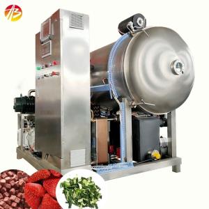 Wholesale Fruit And Vegetable Vacuum Freeze Dryer Machine With 21 Square Meters Pallet Area from china suppliers