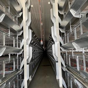 Wholesale Automatic Production Egg Chicken Poultry Cage Professional Economical from china suppliers