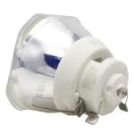 High Brightness Projector Bare Lamp 300W 54*54MM ELPLP95 For Cinema