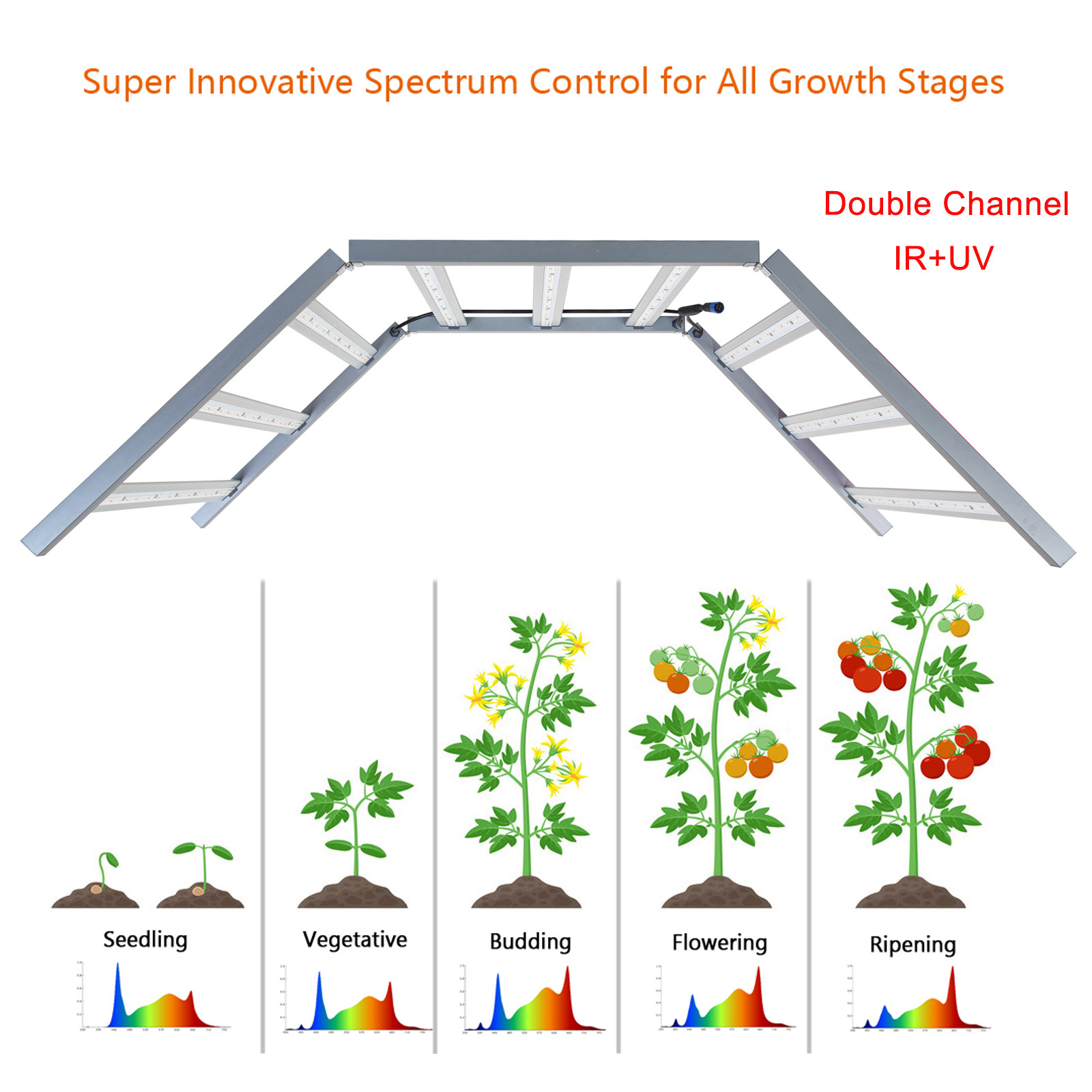 ETL Certified 1000W LED Grow Lights 2.8umol/J Dimmable For Plant Grow