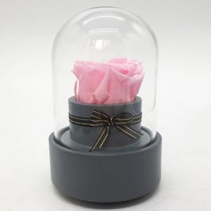Wholesale Long Lasting Preserved Roses In Bluetooth Music Glass Dome For Birthday/Anniversary/Valentinesday Gift from china suppliers