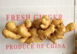 300g Air Dried Ginger yellow