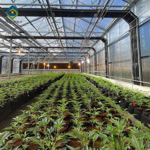 Wholesale 100m Herbs Light Deprivation Greenhouse Blackout Dehumidifier from china suppliers