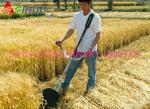 The Factory Price Small Multi-Purpose Lawn Sugarcane Harvester for Cutting