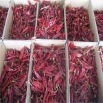 Yidu Dried Red Chile Peppers Food Condiment 9CM Chile Pods For Pozole