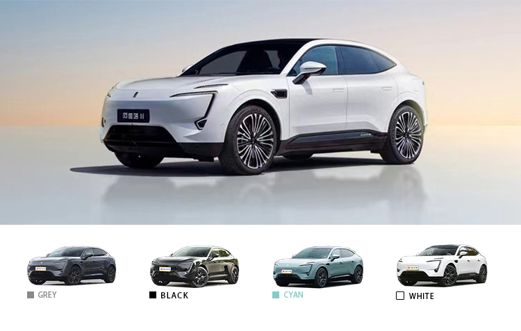 Max Speed 200km/h 2024 Avatar 11 Pure Electric Luxury Energy Vehicle with 700km Range