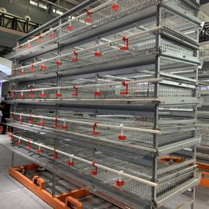 Wholesale Q235 Layer Chicken Cage from china suppliers