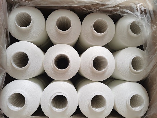 210D/3 Nylon Bonded Sewing Thread Raw White Lowly Elongation