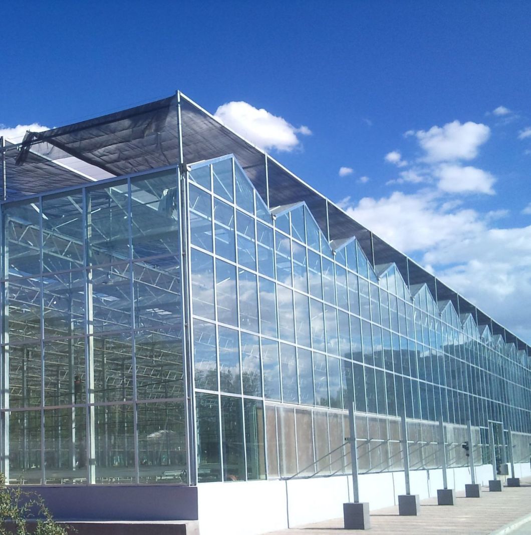 Commercial Heating Method Garden Glass Greenhouse