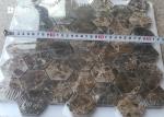 Seamless Dark Emperador Marble Mosaic Wall Tile For Decoration 42 Pcs Sheet